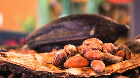 Sulla rotta del cacao